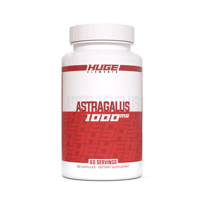 HUGE ASTRAGALUS